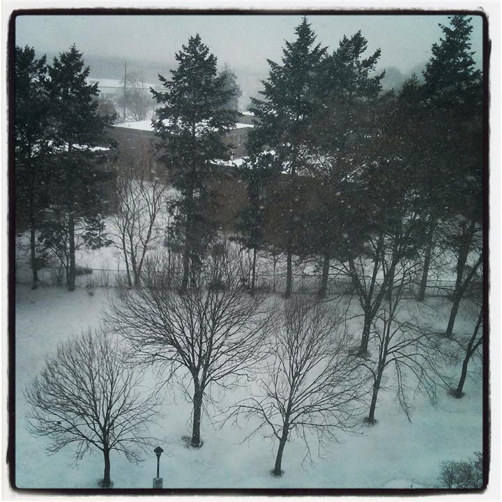 Snow